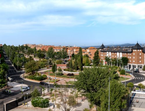 ¿Buscas comercios en Las Rozas? Descubre una ubicación privilegiada para comprar, comer y disfrutar